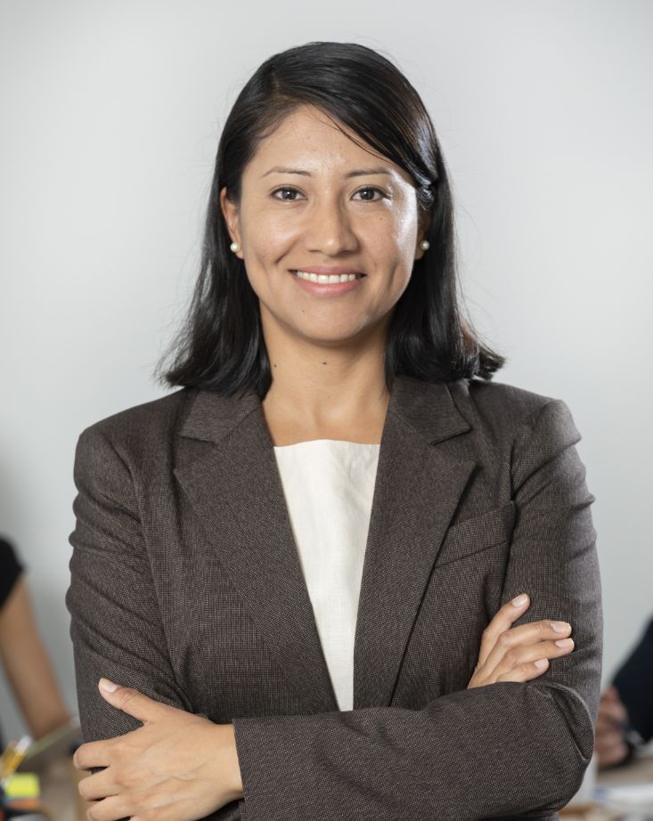 Terceirização Synclynal